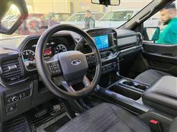 فۆرد F-150